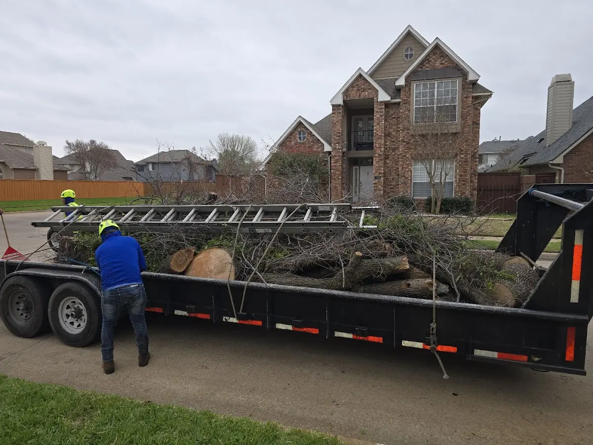 Expert Tree Fertilization with proper safety equipment in Dunkerton